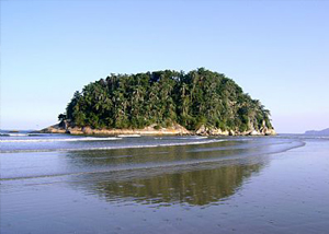 Ilha Urubuqueçaba em Santos
